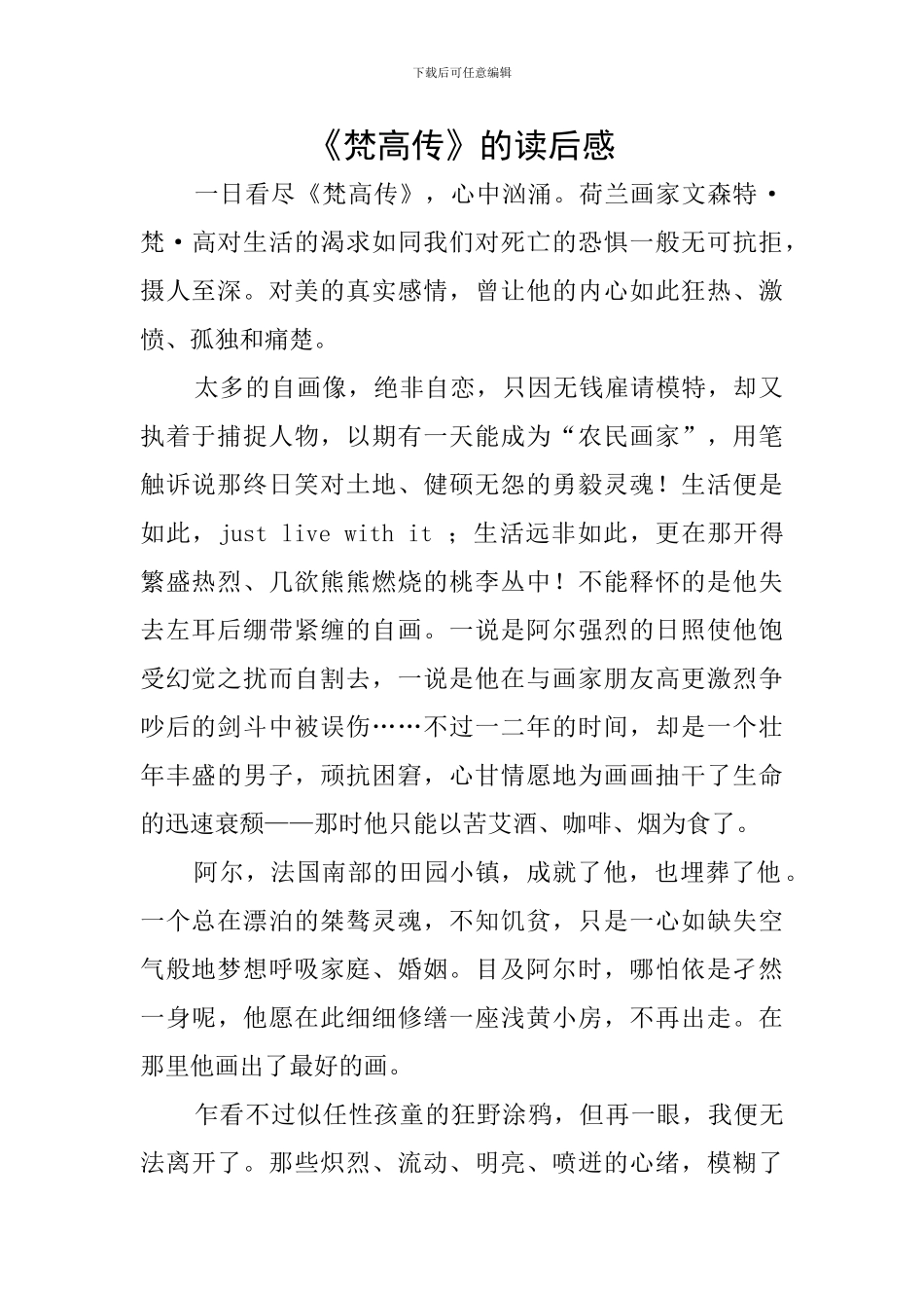 《梵高传》的读后感_第1页