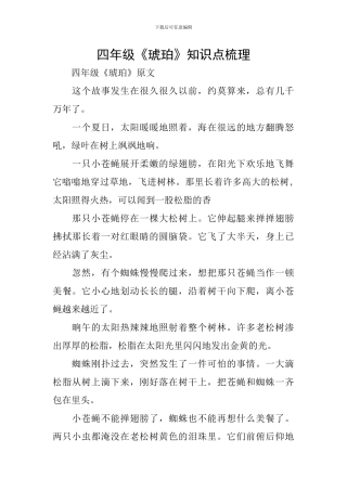 四年级《琥珀》知识点梳理