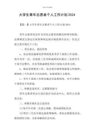 大学生青年志愿者个人工作计划2024