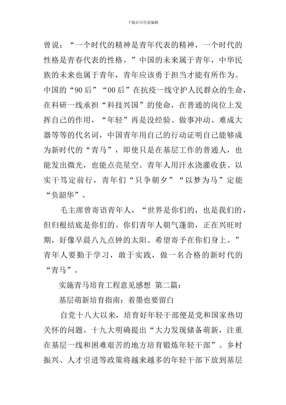 实施青马培养工程意见感想_第3页