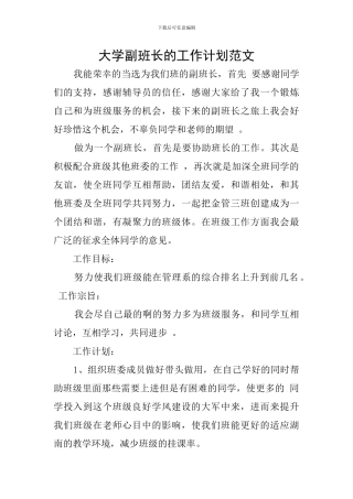 大学副班长的工作计划范文