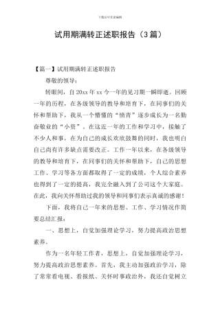 试用期满转正述职报告