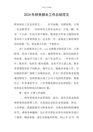 2024年财务部长工作总结范文