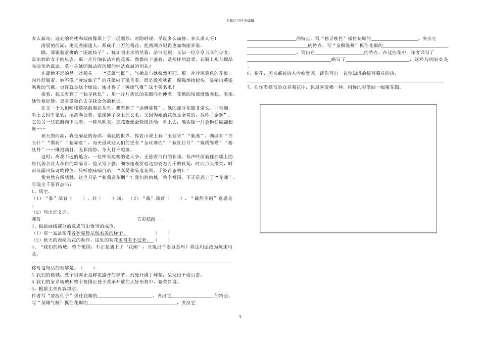 六年级语文阅读理解_第3页