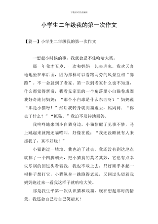 小学生二年级我的第一次作文