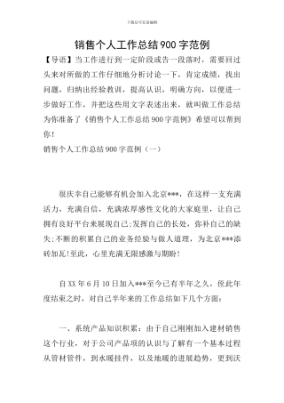 销售个人工作总结900字范例
