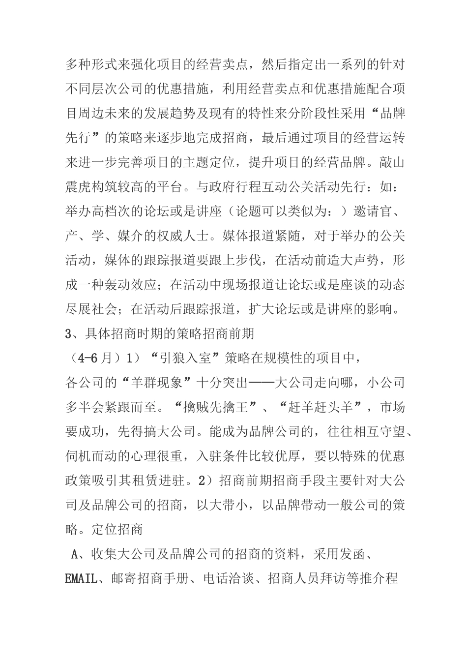 招商营销方案_第3页