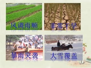 2015年河南省七年级地理上册 3.3 降水的变化与分布课件 （新版）新人教版