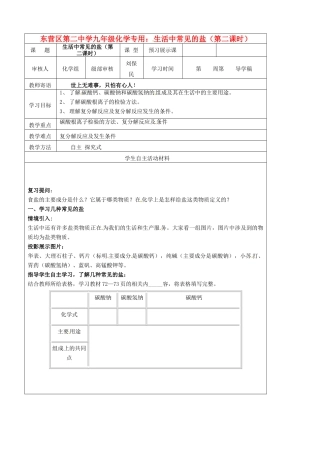 山东省东营市第二中学九年级化学下册 生活中常见的盐（第二课时）学案 人教新课标版