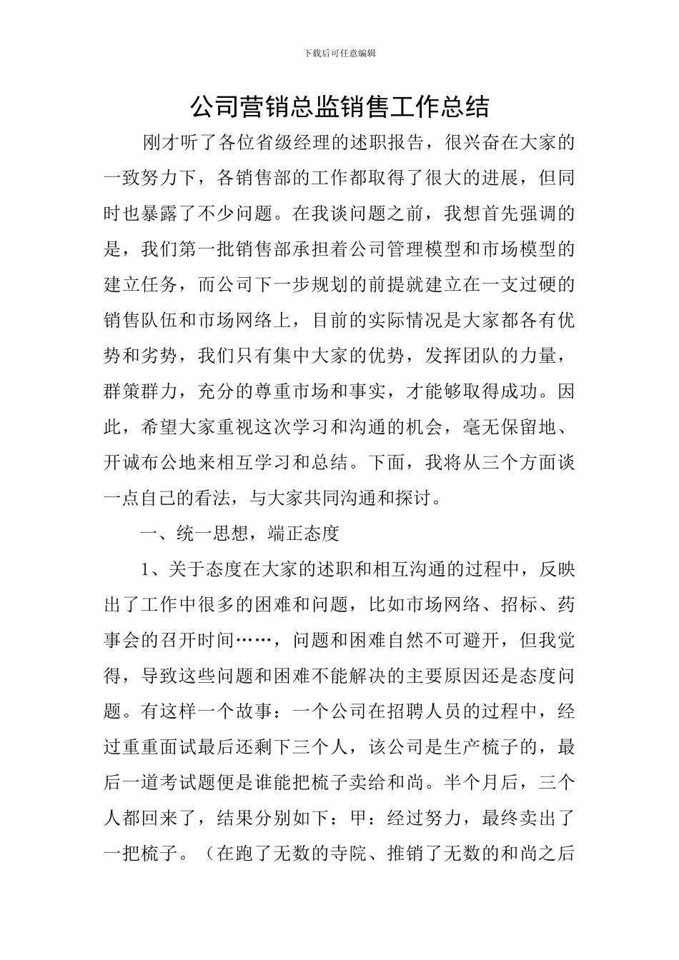 公司营销总监销售工作总结_第1页