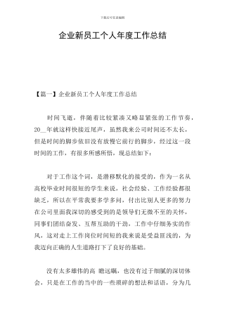 企业新员工个人年度工作总结