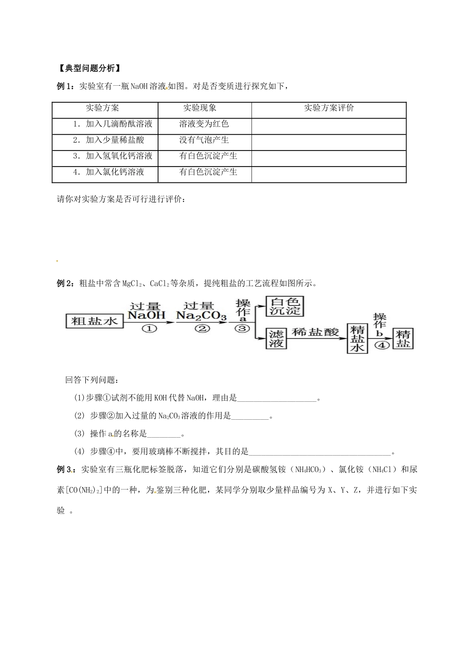江苏省南通市海安县中考化学复习 第十一讲 盐和化肥学案-人教版初中九年级全册化学学案_第2页