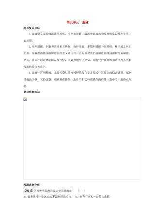 九年级化学第九单元《溶液》复习学案人教版