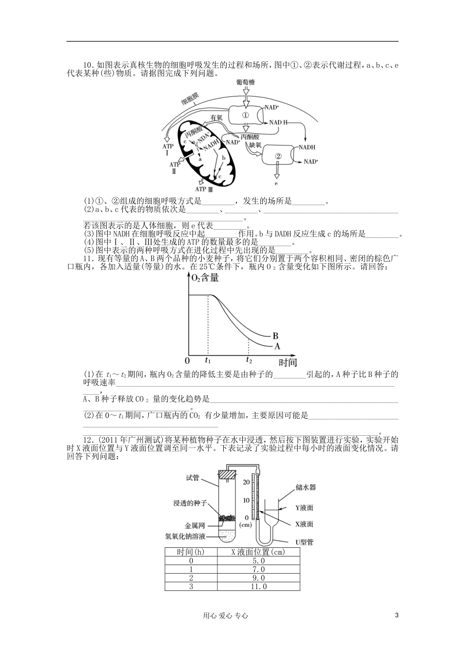 高中生物复习 细胞的能量“通货”学案_第3页
