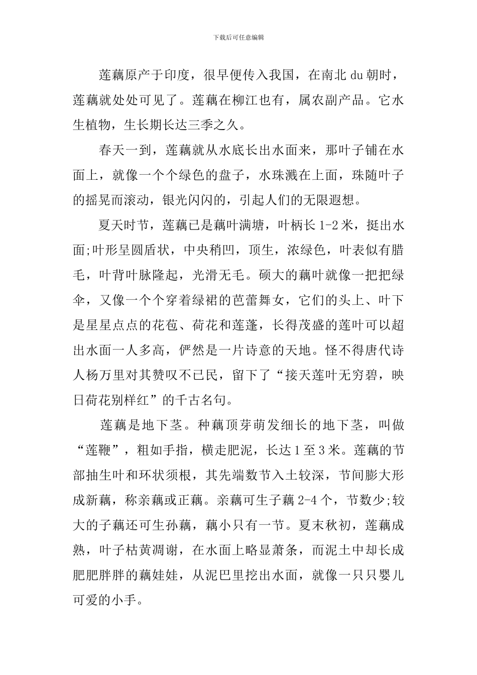中考优秀说明文作文范文：莲藕_第2页
