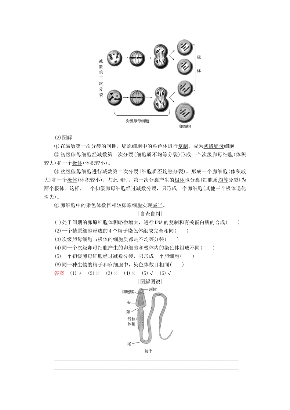高中生物 第二章 减数分裂和有性生殖 第2课时 生殖细胞的形成学案 苏教版必修2-苏教版高一必修2生物学案_第2页