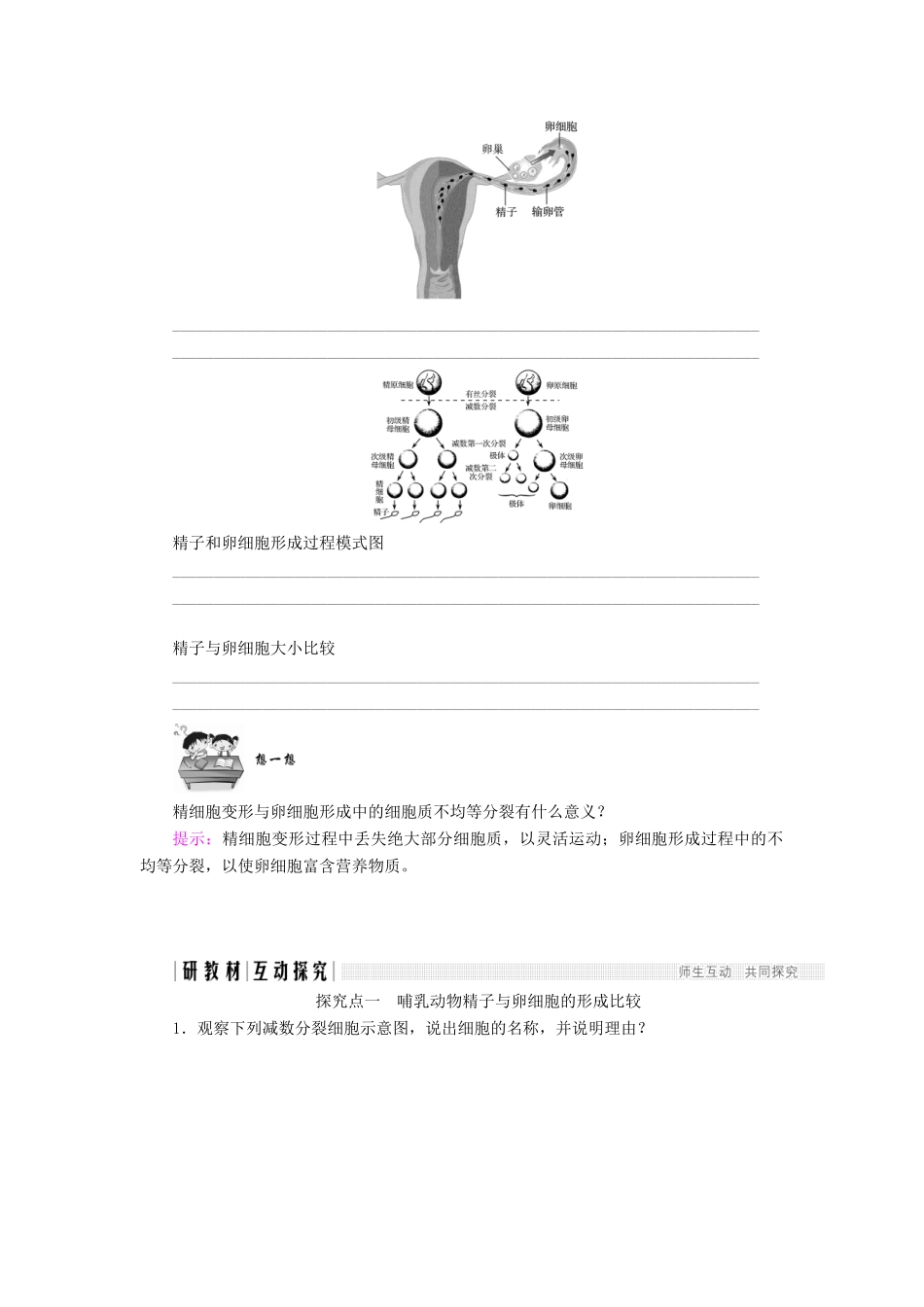 高中生物 第二章 减数分裂和有性生殖 第2课时 生殖细胞的形成学案 苏教版必修2-苏教版高一必修2生物学案_第3页