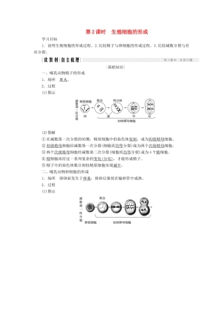 高中生物 第二章 减数分裂和有性生殖 第2课时 生殖细胞的形成学案 苏教版必修2-苏教版高一必修2生物学案