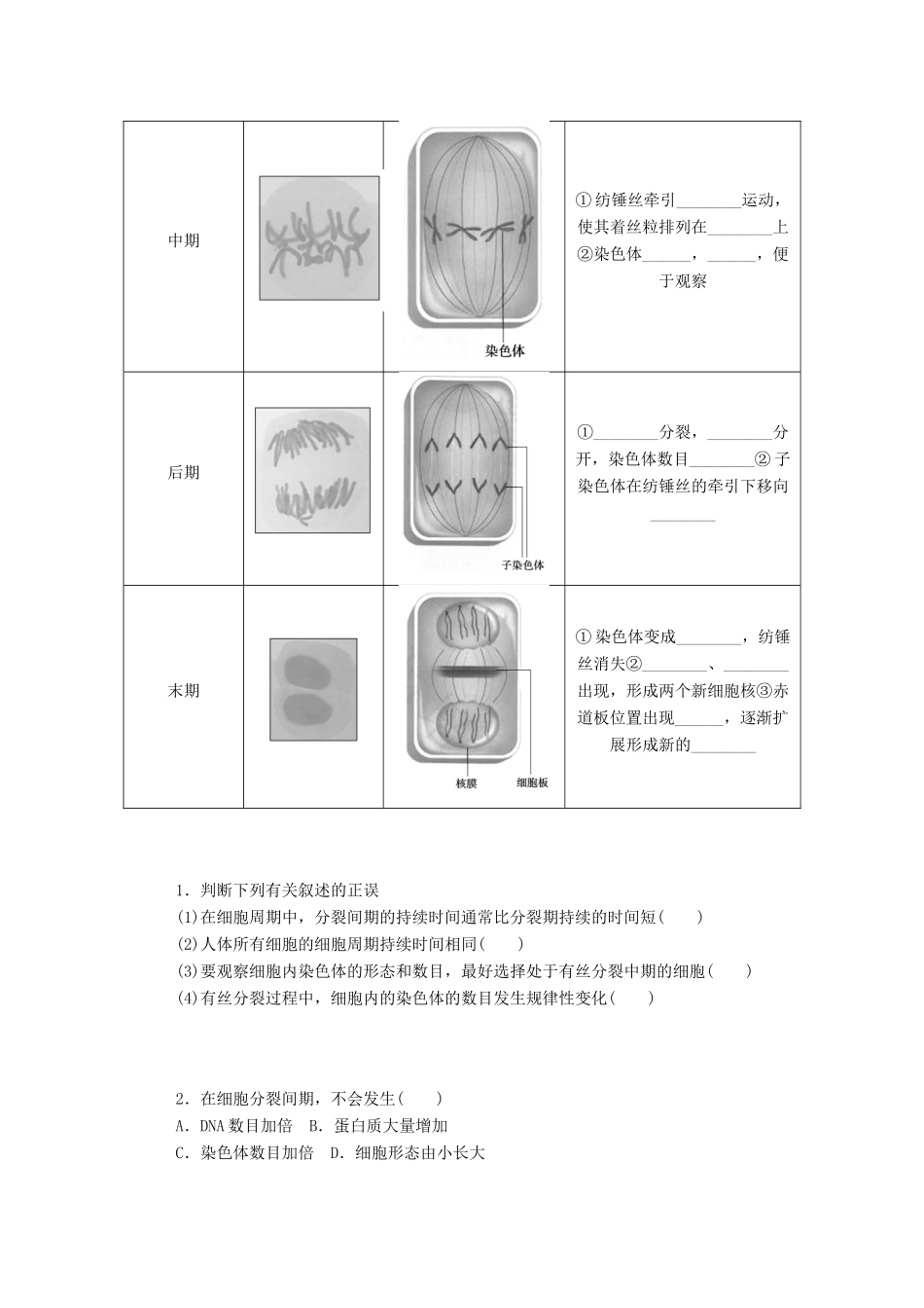 高中生物 第6章 细胞的生命历程 第1节 第1课时 细胞周期和高等植物细胞的有丝分裂学案 新人教版必修1-新人教版高一必修1生物学案_第2页