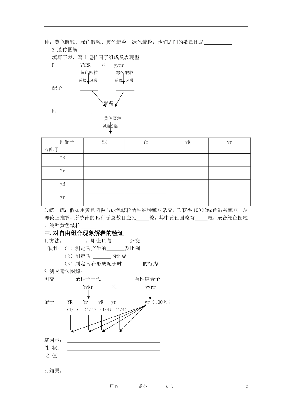 高中生物 孟德尔的豌豆杂交实验（二）导学案 新人教版必修2_第2页