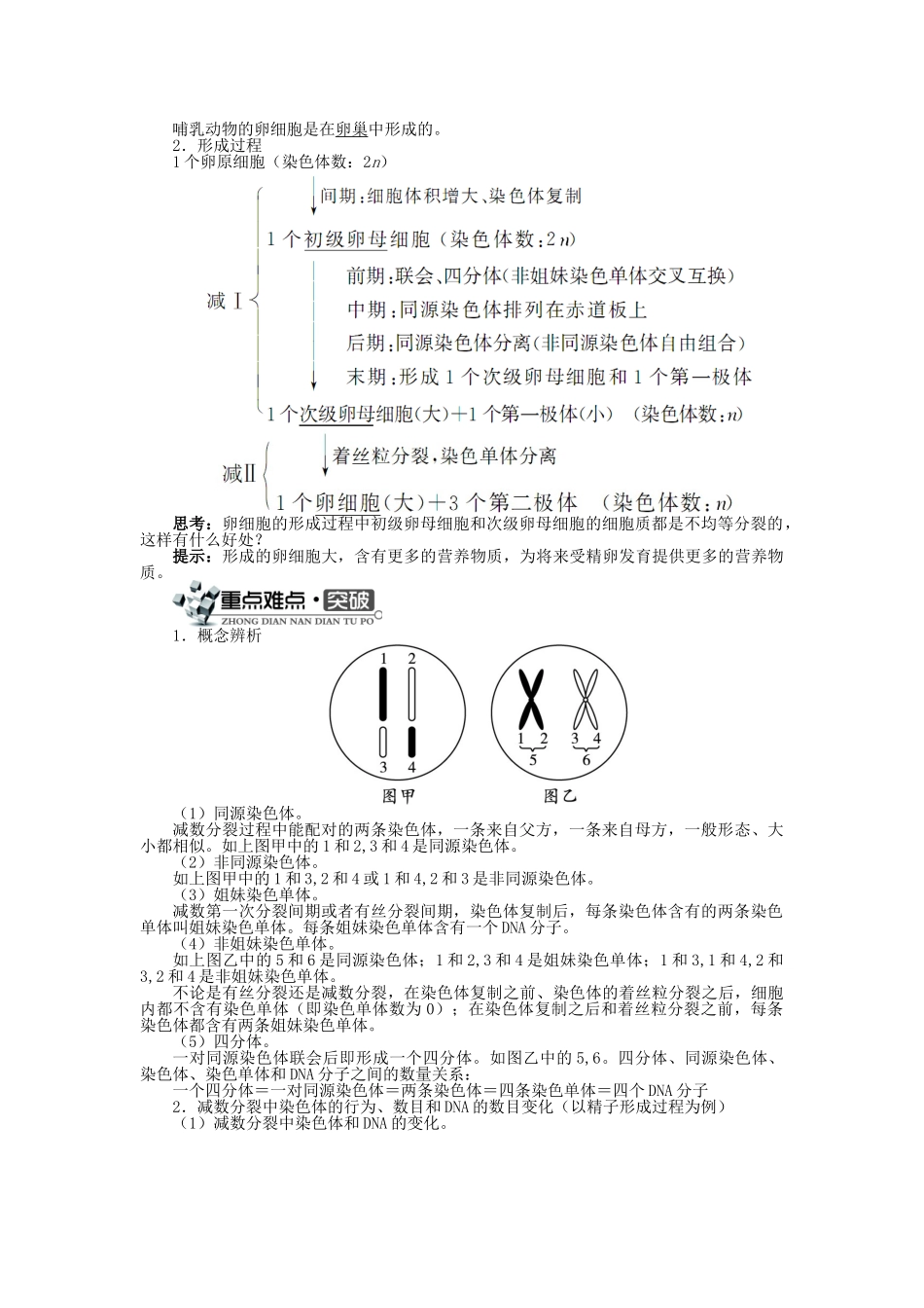 高中生物 第一单元 第一章 第一节 减数分裂与配子形成学案（含解析）中图版必修2-中图版高中必修2生物学案_第2页