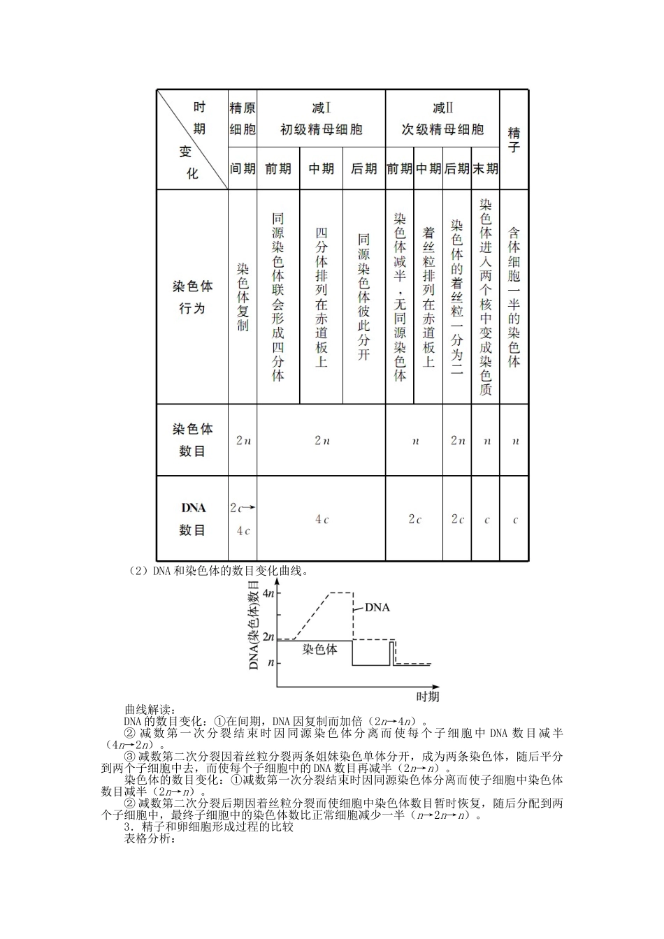 高中生物 第一单元 第一章 第一节 减数分裂与配子形成学案（含解析）中图版必修2-中图版高中必修2生物学案_第3页