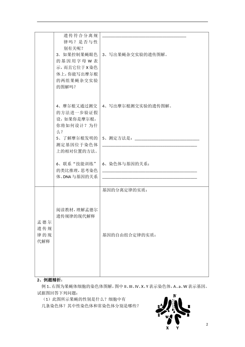 高中生物《基因在染色体上》学案2 新人教版必修2_第2页