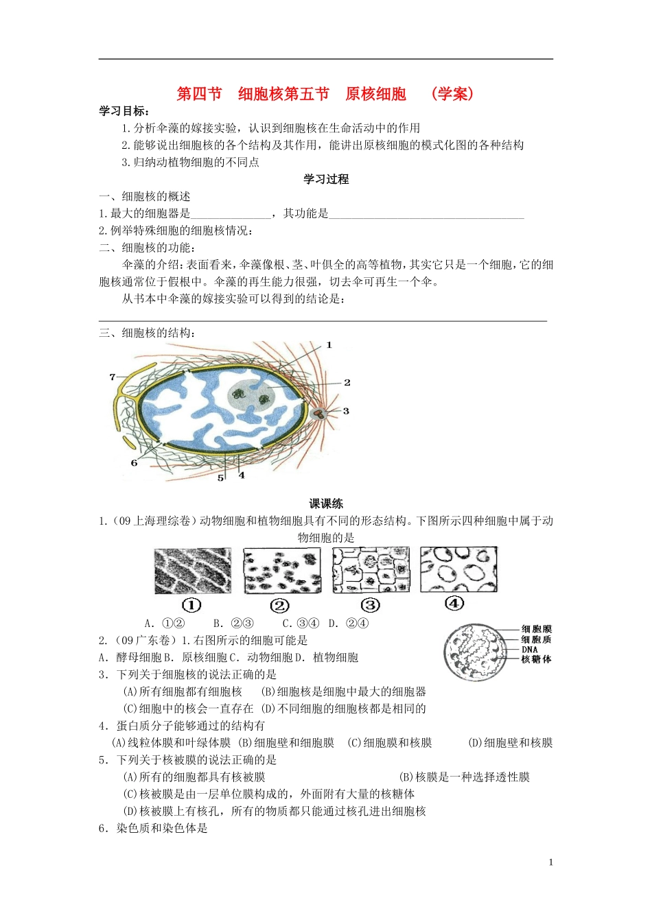 高中生物《原核细胞》学案1 浙教版必修1_第1页