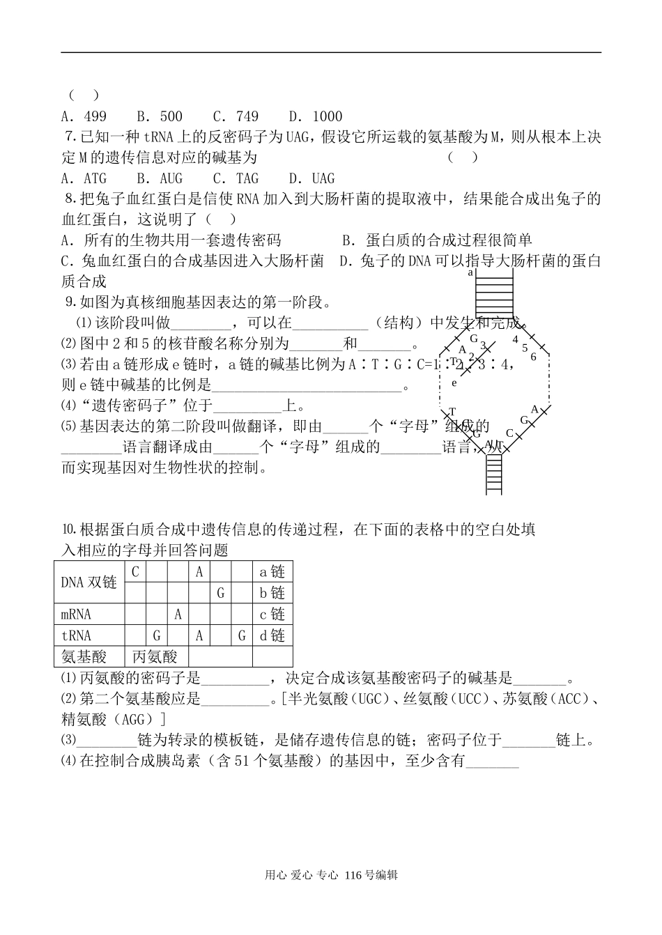 高中生物人教版必修2基因指导蛋白质的合成 学案_第3页