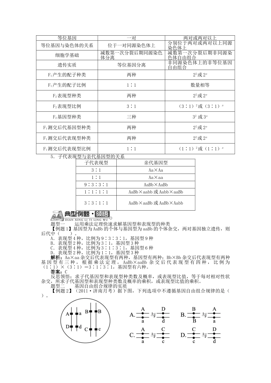 高中生物 第二单元 第二章 第一节 自由组合规律试验学案（含解析）中图版必修2-中图版高中必修2生物学案_第3页