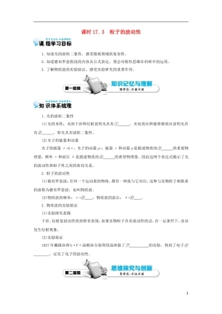 高中物理 17.3 粒子的波动性学案 新人教版选修3-5-新人教版高二选修3-5物理学案