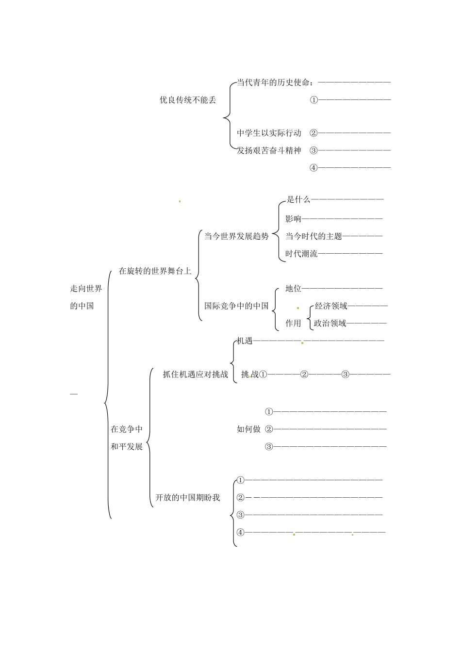 九年级政治第四单元《我们的未来不是梦》复习学案鲁教版_第2页
