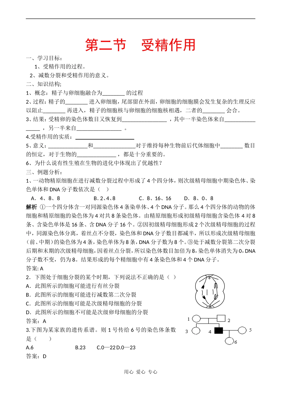 高中生物：第二节  受精作用学案 中图版必修2_第1页