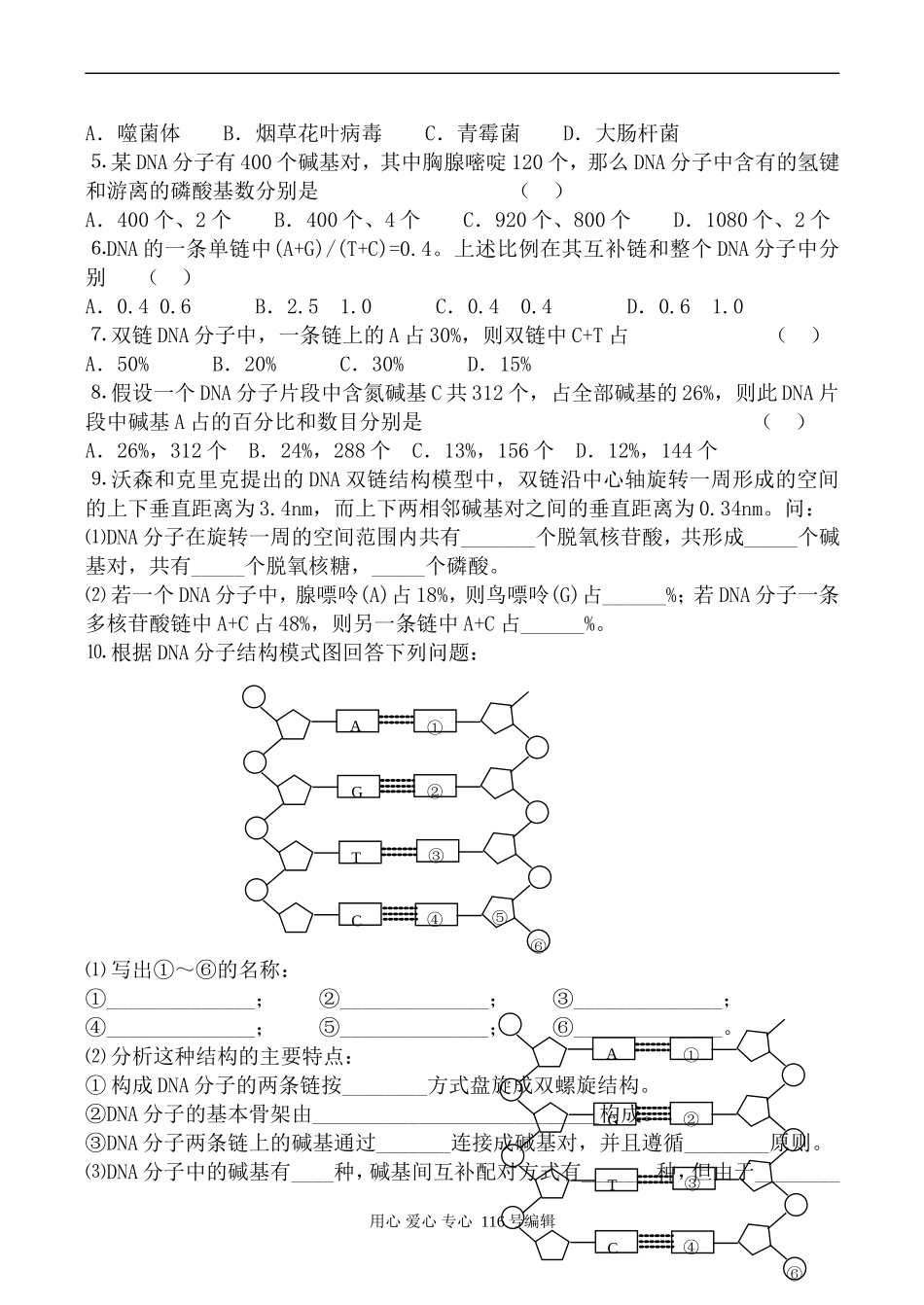 高中生物人教版必修2DNA分子的结构 学案_第2页