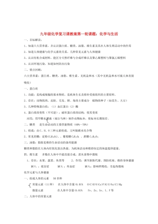 2012届中考化学要点专项复习教案1
