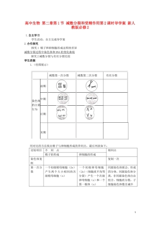 高中生物 第二章第1节 减数分裂和受精作用第2课时导学案 新人教版必修2
