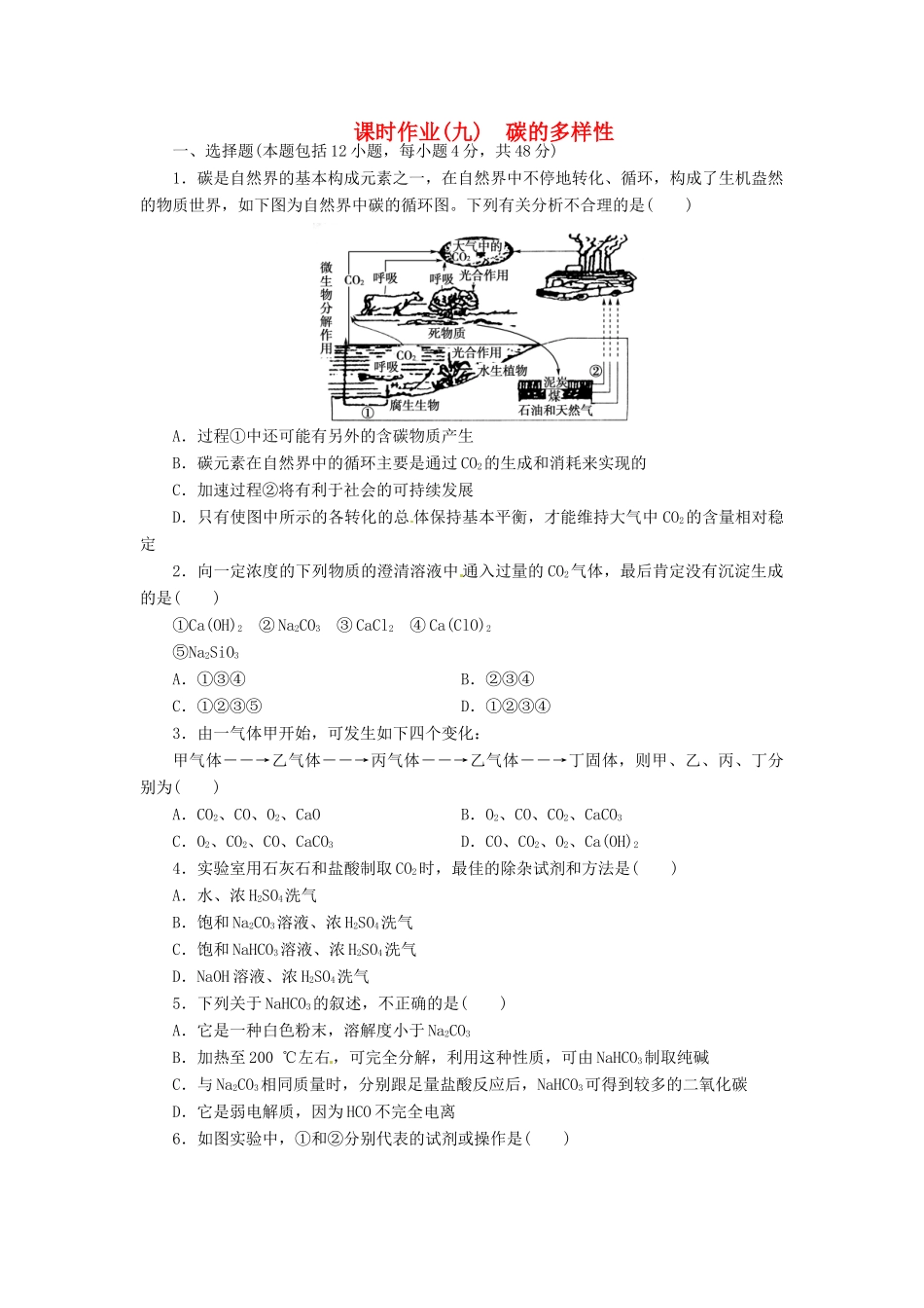 【金版新学案】高考化学总复习 课时作业九 碳的多样性 鲁科版_第1页