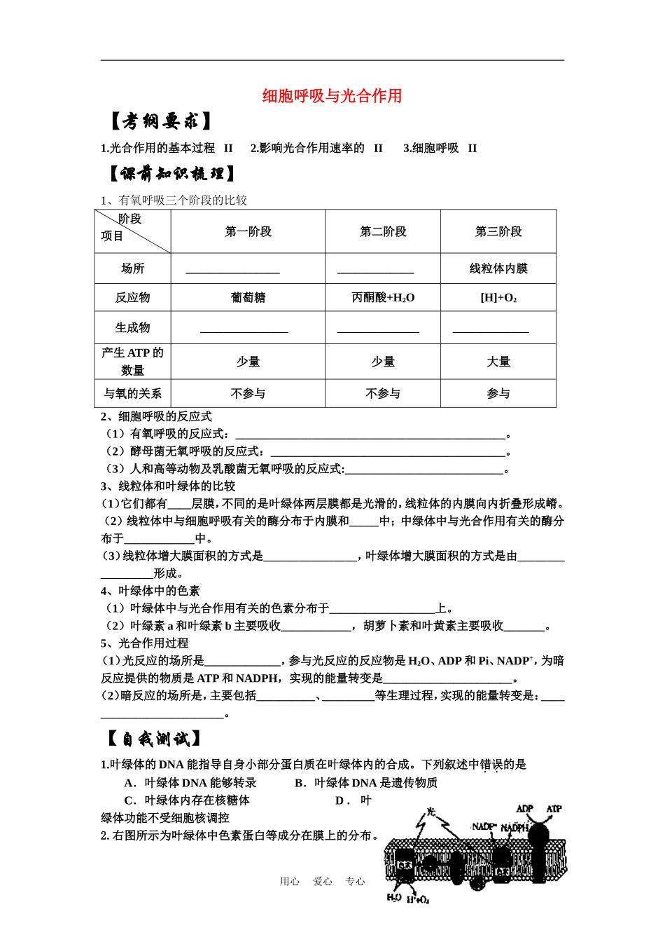 高中生物《光合作用-细胞呼吸与光合作用》学案8 苏教版必修1_第1页
