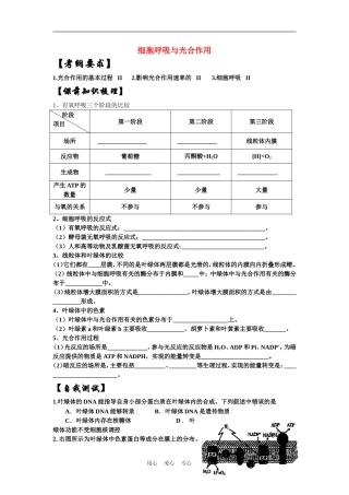 高中生物《光合作用-细胞呼吸与光合作用》学案8 苏教版必修1