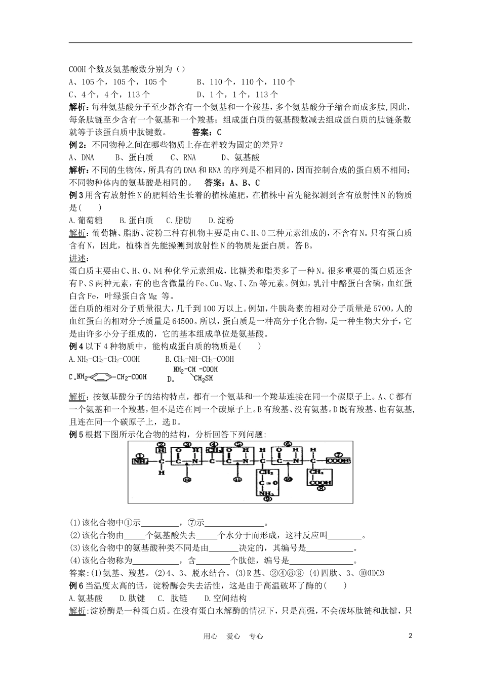 高中生物《细胞中的生物大分子》学案2 苏教版必修1_第2页