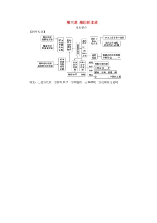 高中生物 第三章 基因的本质章末整合学案 新人教版必修2-新人教版高一必修2生物学案