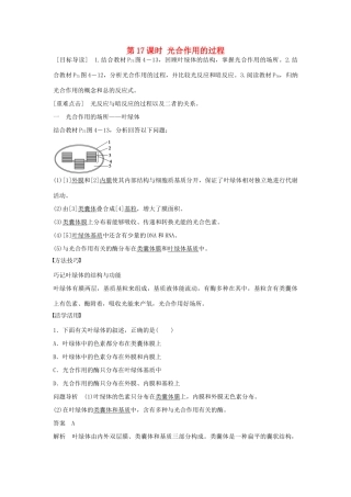 高中生物 第四章 第17课时 光合作用的过程课时作业 苏教版必修1-苏教版高一必修1生物学案