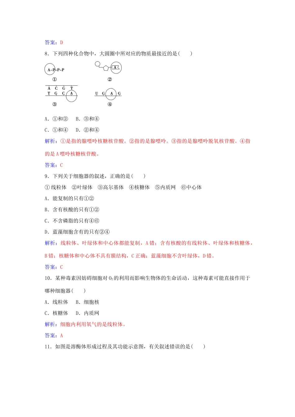 高中生物 模块综合检测（二）新人教版必修1-新人教版高一必修1生物学案_第3页