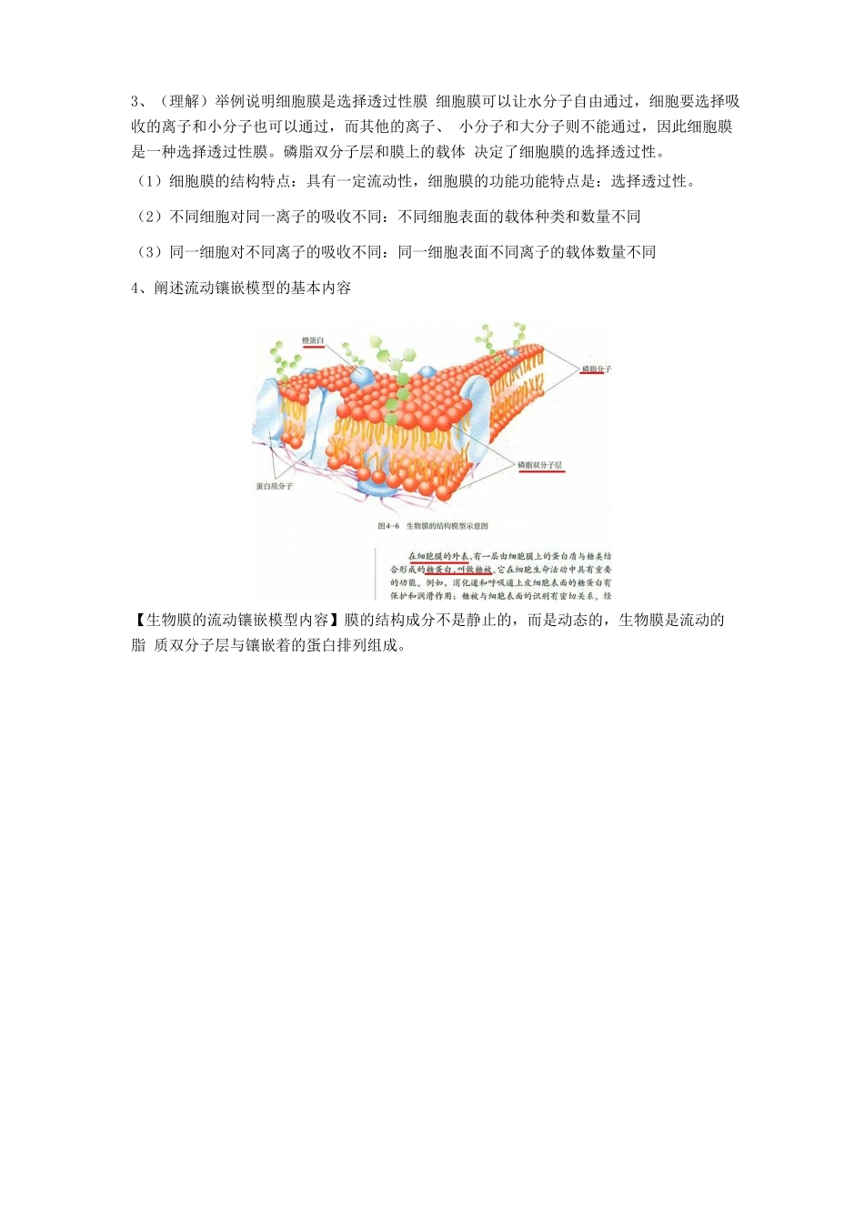 高中生物学业水平测试复习 第4讲 细胞的物质输入和输出学案-人教版高二全册生物学案_第2页