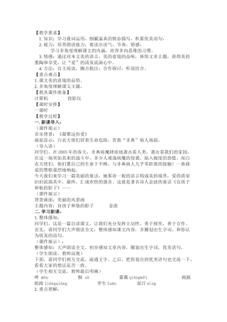 盲孩子和他的影子教案5