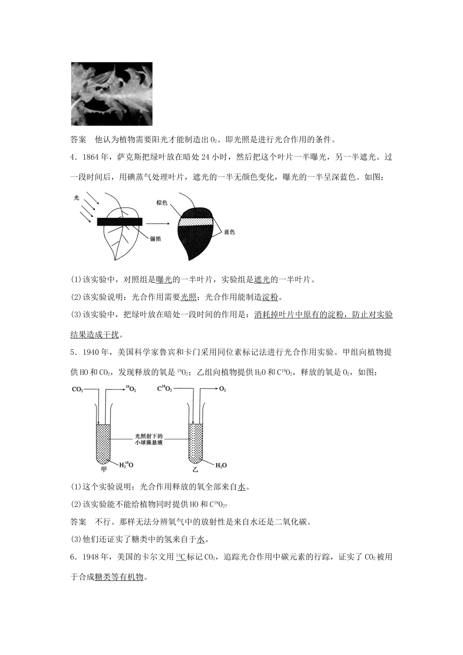 高中生物 第四章 第16课时 光合作用的认识过程与光合色素课时作业 苏教版必修1-苏教版高一必修1生物学案_第2页