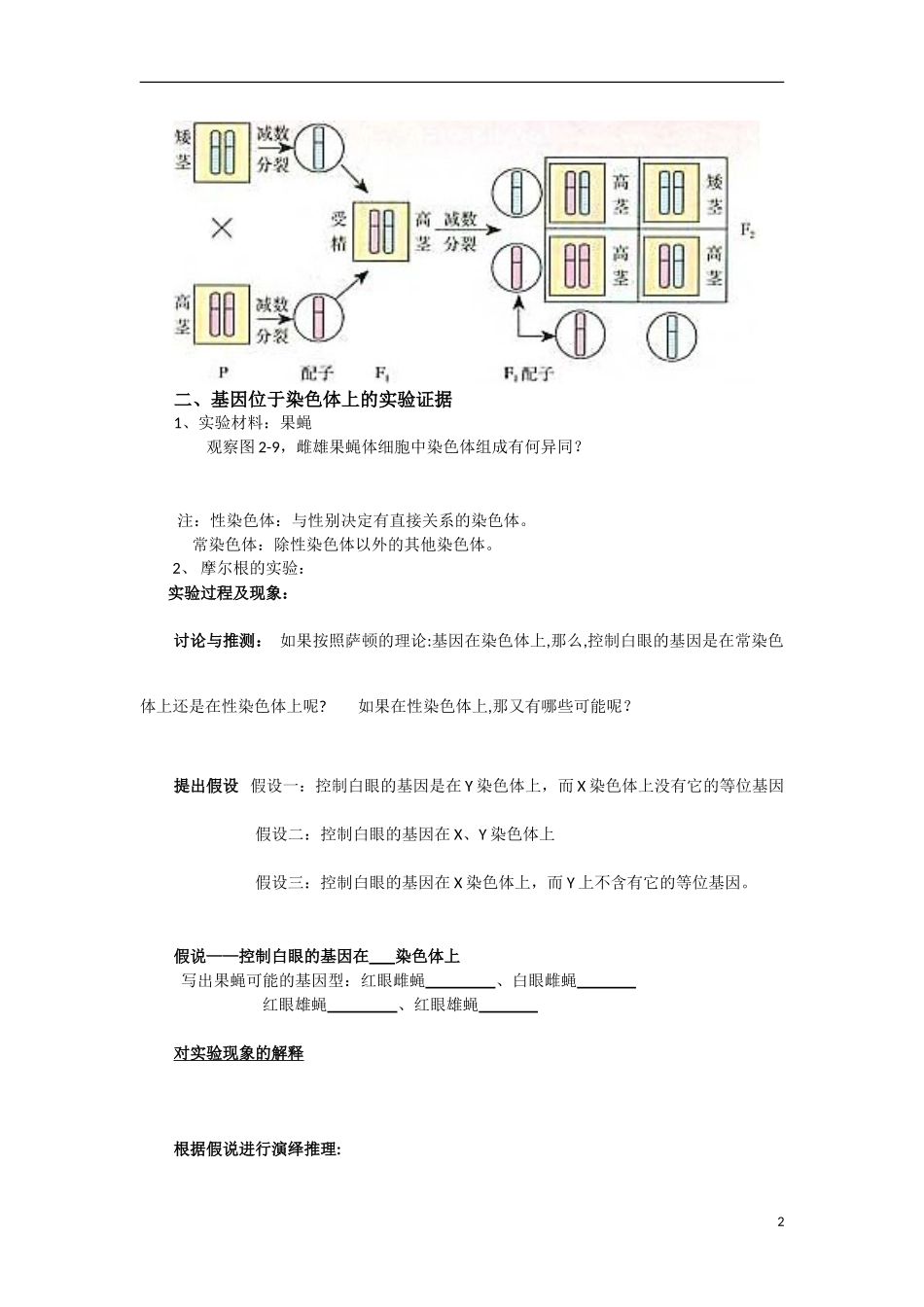 高中生物《基因在染色体上》学案4 新人教版必修2_第2页