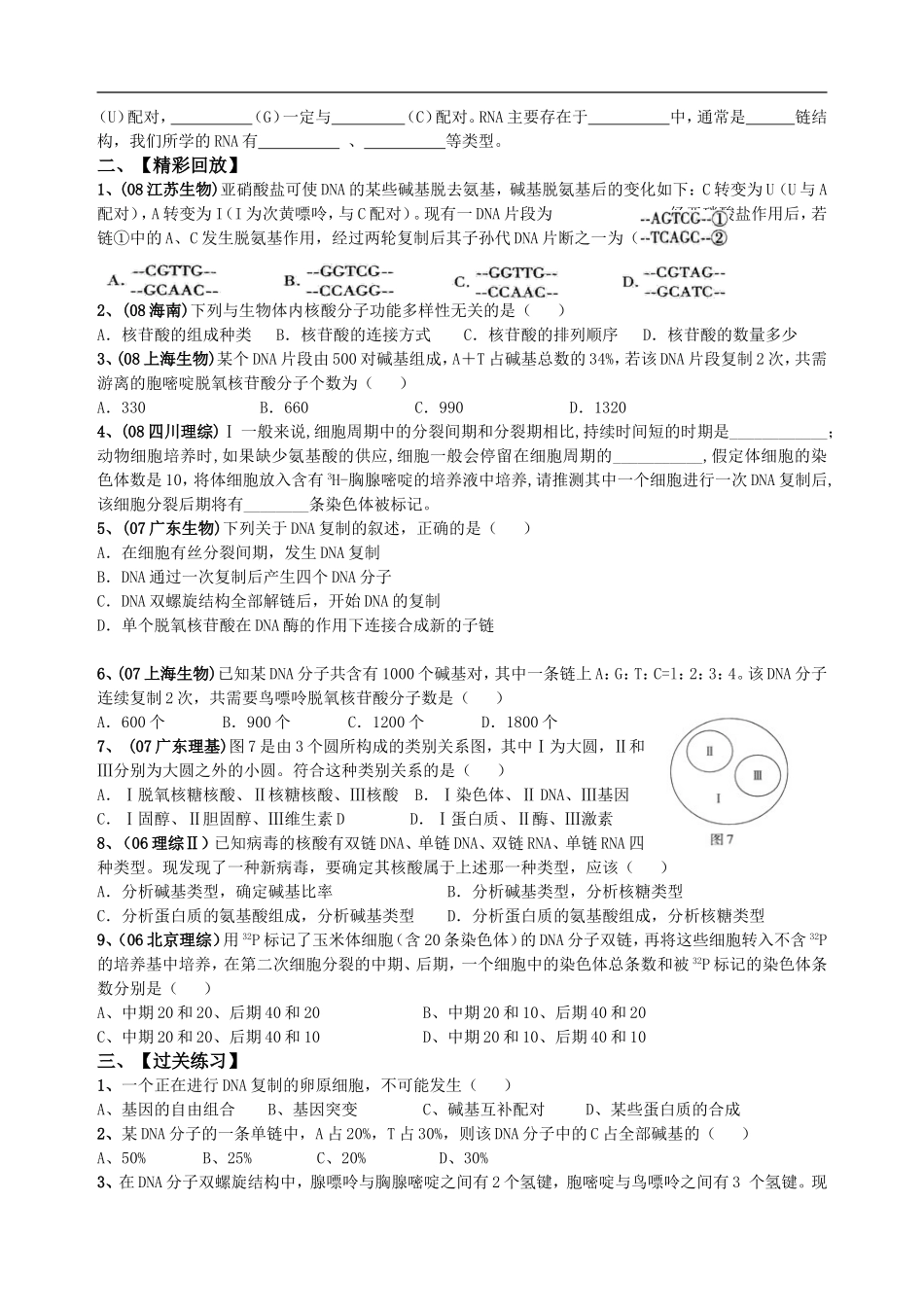 高中生物第一轮教学案DNA分子的结构和复制_第2页