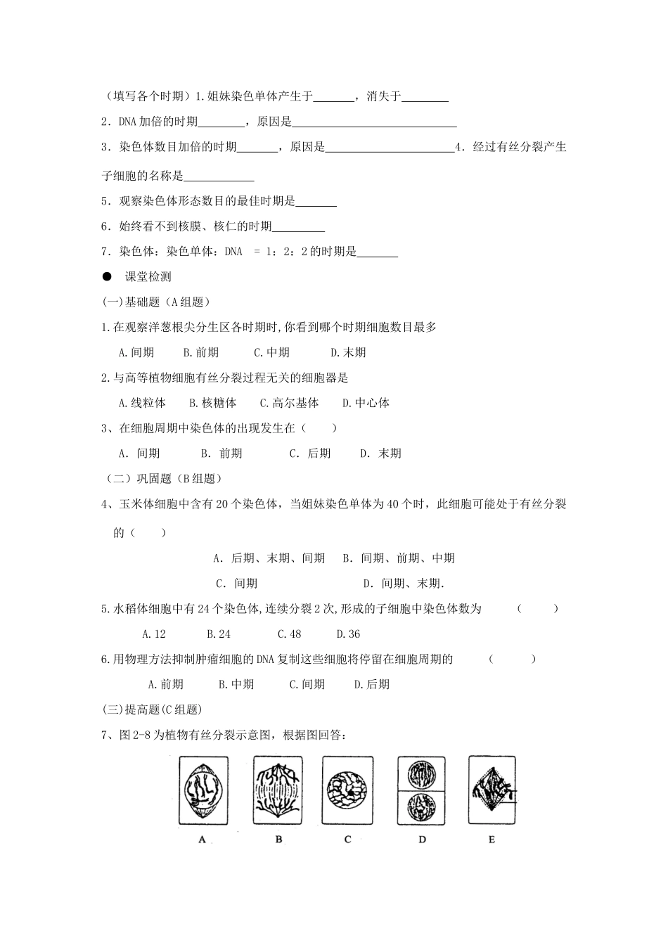 高中生物 第六章 细胞的生命历程 6.1 细胞的增殖（1）学案 新人教版必修1-新人教版高一必修1生物学案_第2页