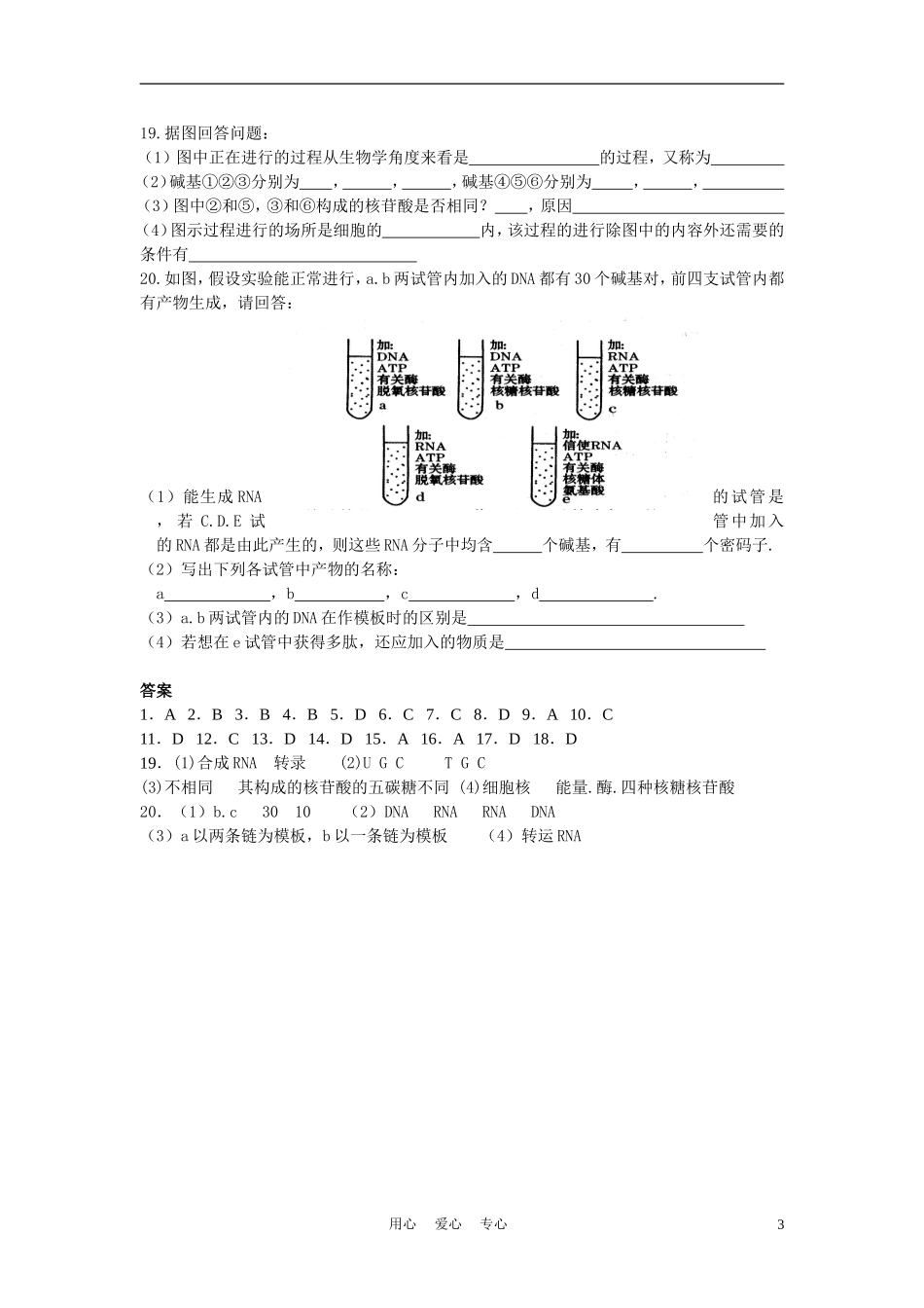 高中生物《基因的表达》学案6 中图版必修2_第3页